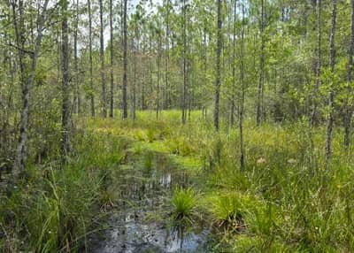 Classrooms that Invites Exploration 