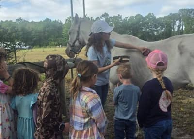 Field Trips